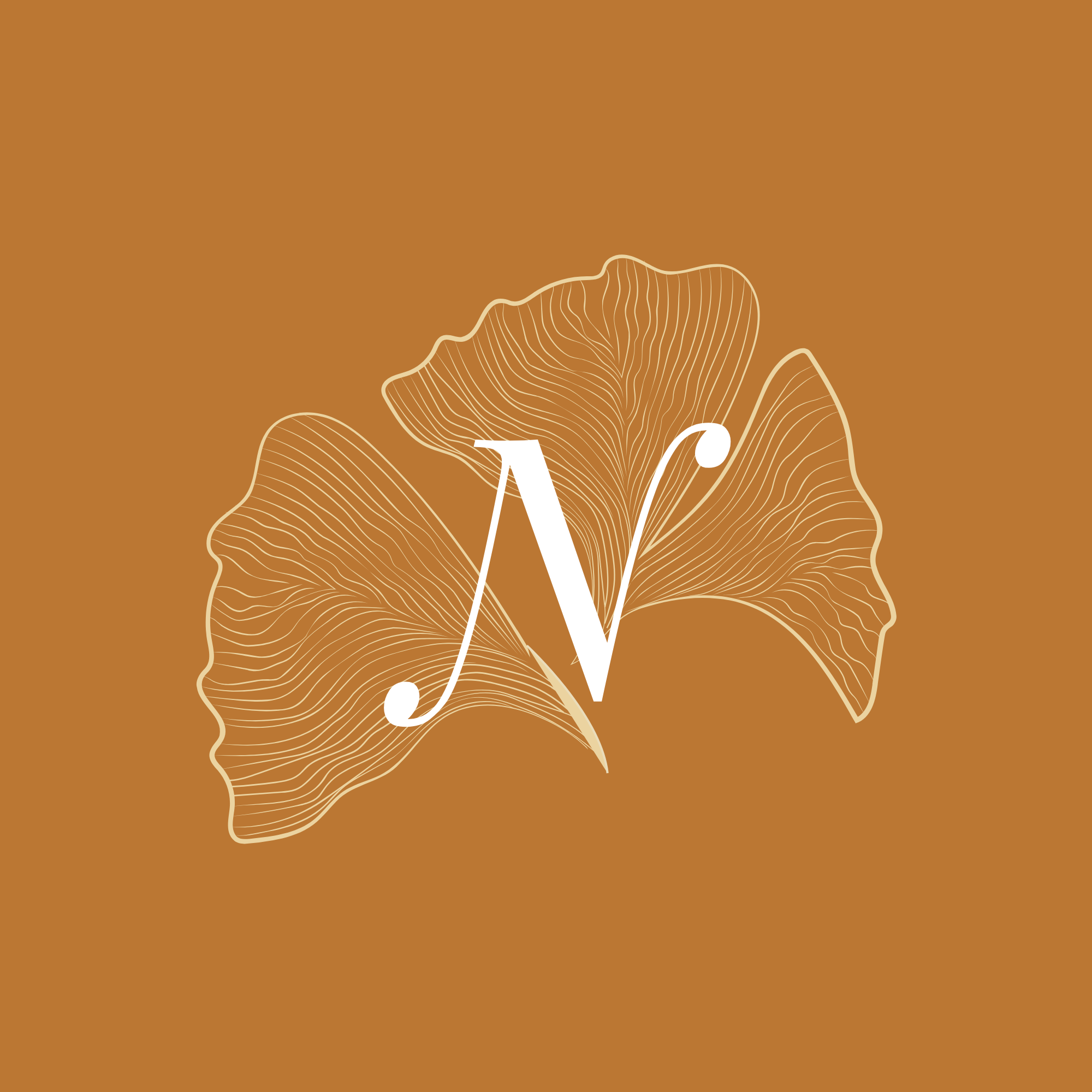 Nousnoir